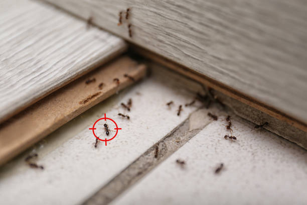 Best Pest Prevention Services  in Conneaut Lakeshore, PA